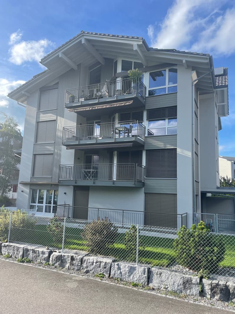 Attikawohnung am Sihlsee mit Sauna (2)