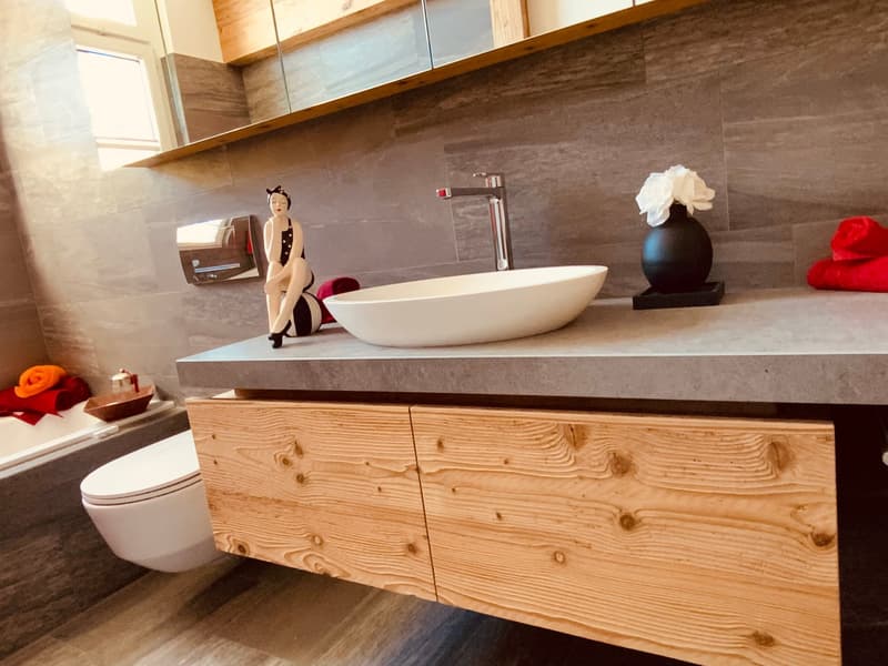 Attikawohnung am Sihlsee mit Sauna (4)