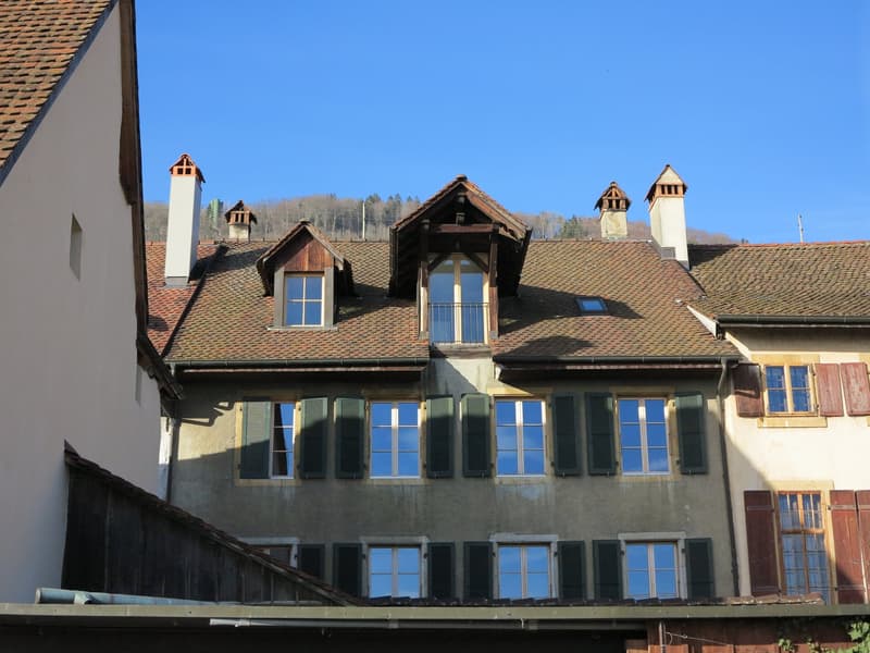 Charmante  3 ½  Zimmer Altbauwohnung mit Seeblick und privater grosser Terrasse in Ligerz (3)