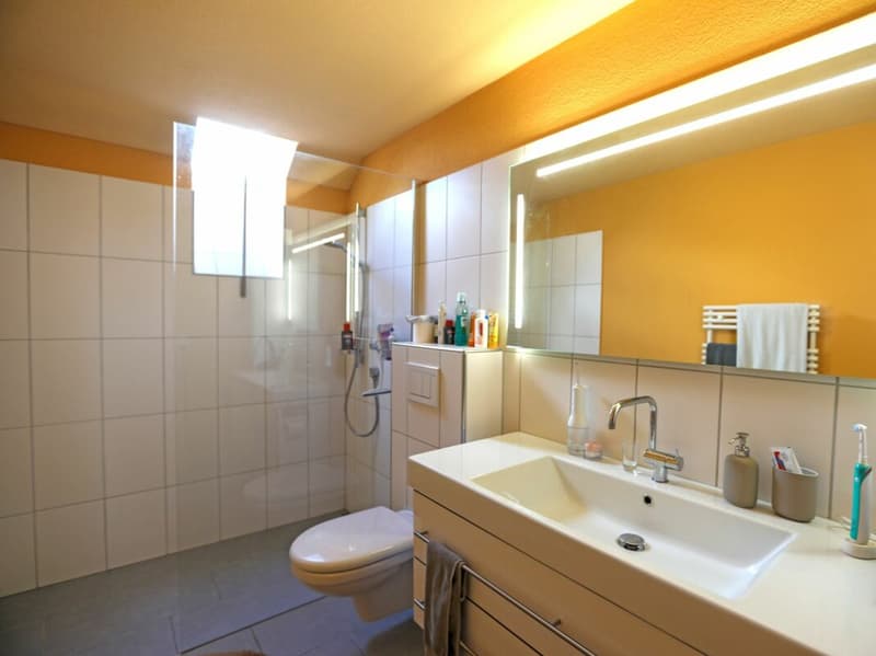 Appartement avec emplacement central à Weinfelden (10)
