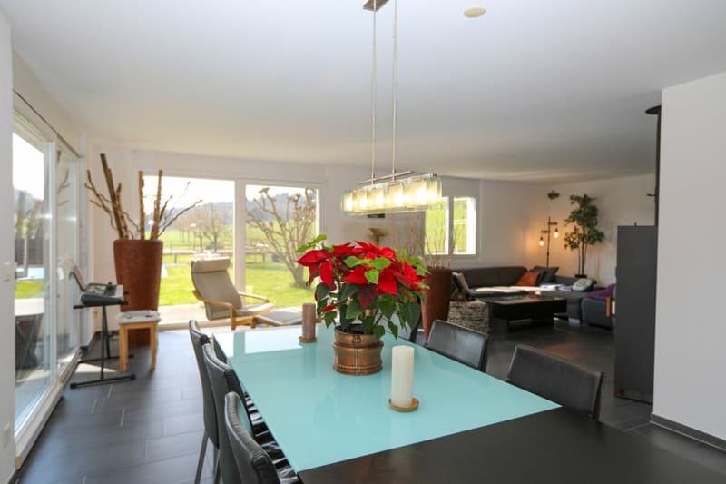 Living in a quiet location: 5.5-room single-family house with spacious garden (3)