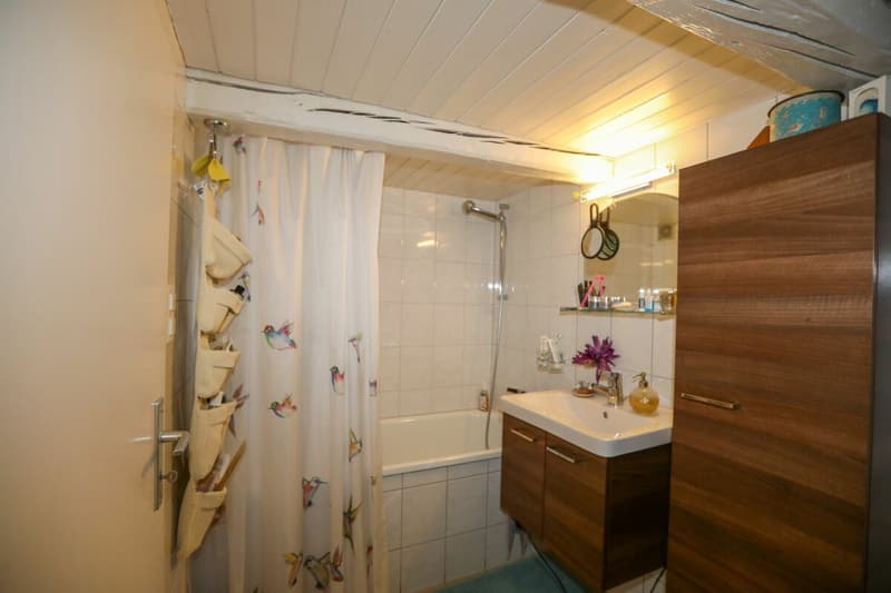 Zweifamilienhaus mit wunderschönem Blumengarten - Ein Liebhaberobjekt! (15)