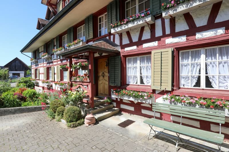 Charming multi-family house in Ottoberg (1)