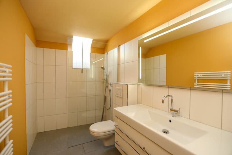 Spacious attic apartment with sunny terrace in Weinfelden (9)