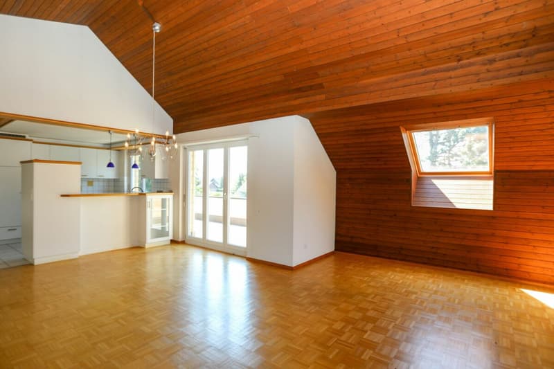 Spacious attic apartment with sunny terrace in Weinfelden (1)