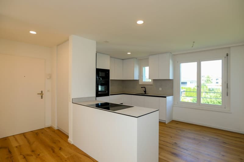 Renovated owner-occupied apartment in a family-friendly neighborhood (1)