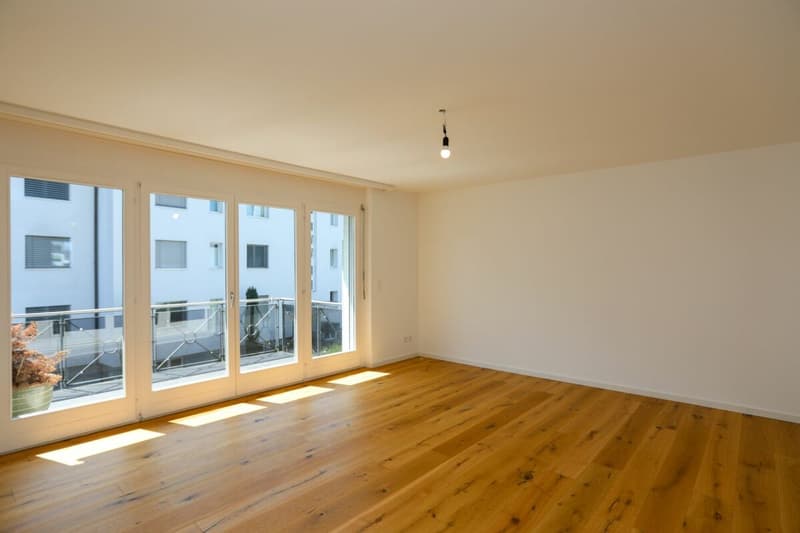 Renovated owner-occupied apartment in a family-friendly neighborhood (2)