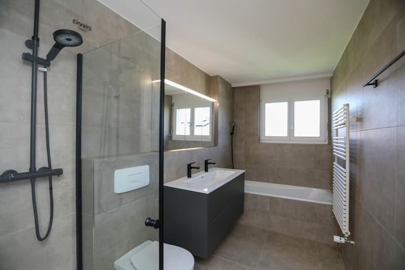 Renovated owner-occupied apartment in a family-friendly neighborhood (7)