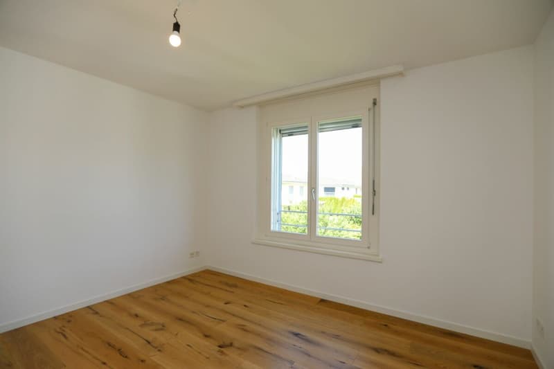 Renovated owner-occupied apartment in a family-friendly neighborhood (3)