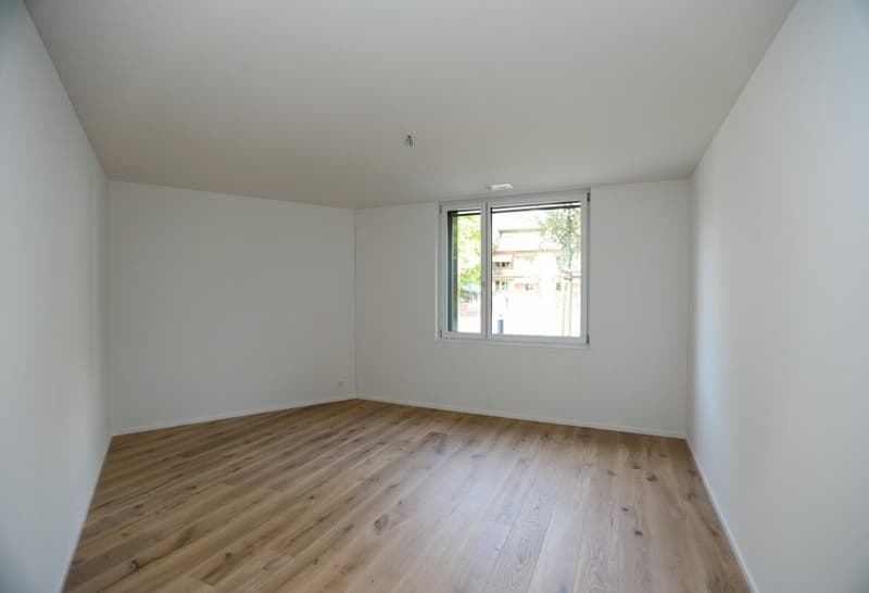 Hochwertige 4.5-Zimmerwohnung an zentraler Lage (4)