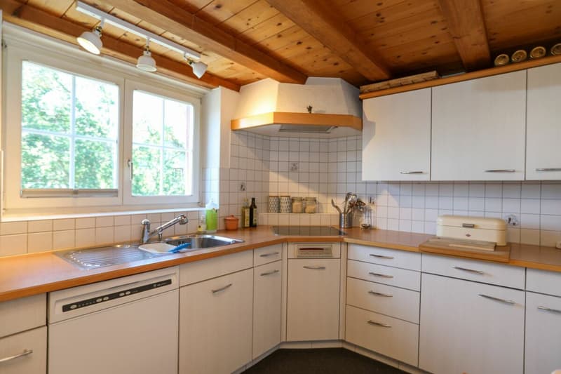 Historisches Riegelhaus mit drei Wohneinheiten (12)