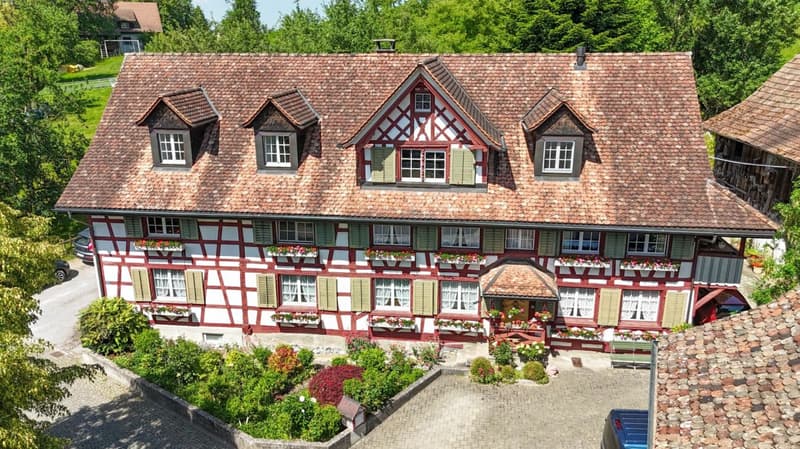 Historisches Riegelhaus mit drei Wohneinheiten (1)