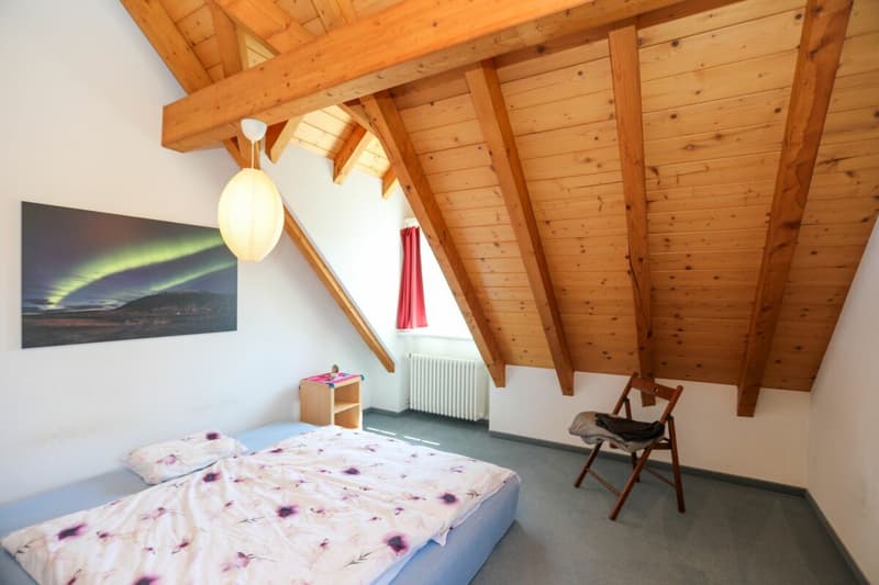 Historisches Riegelhaus mit drei Wohneinheiten (14)
