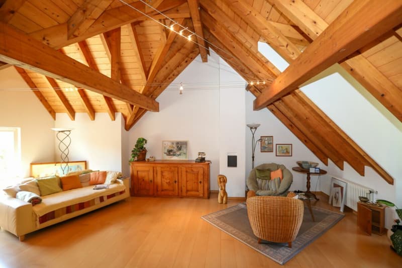 Historisches Riegelhaus mit drei Wohneinheiten (4)