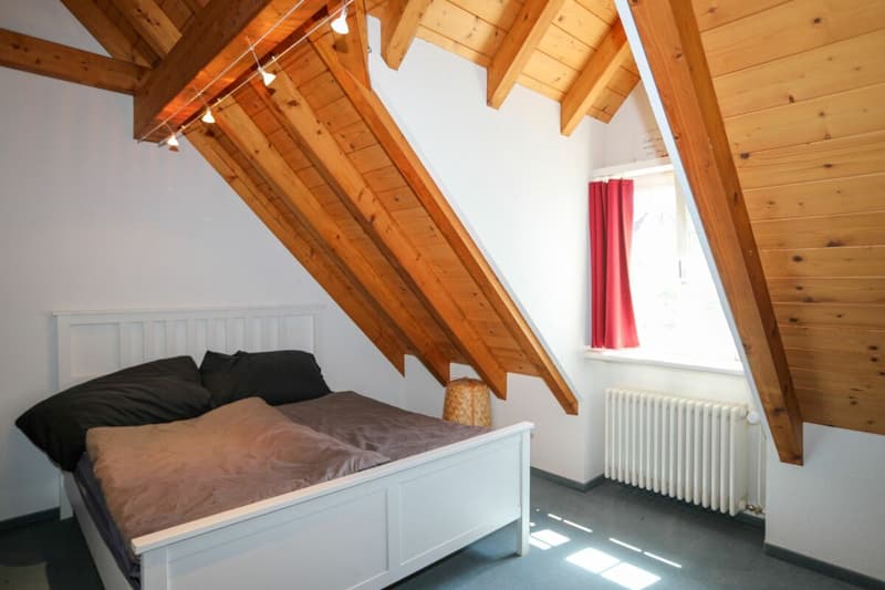 Historisches Riegelhaus mit drei Wohneinheiten (13)