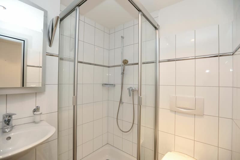 Dachwohnung mit Galerie direkt am Bahnhof (10)
