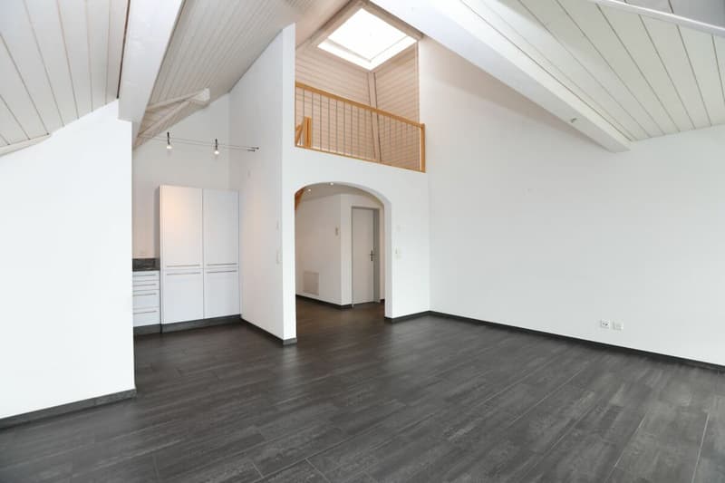Dachwohnung mit Galerie direkt am Bahnhof (1)