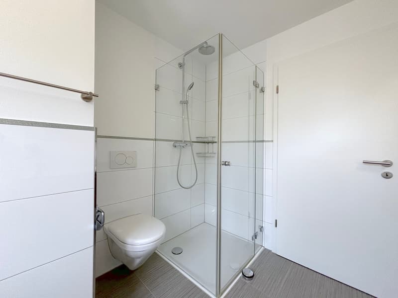 Modern 5.5-room semi-detached house with garden and plenty of light in Neuenhof (11)