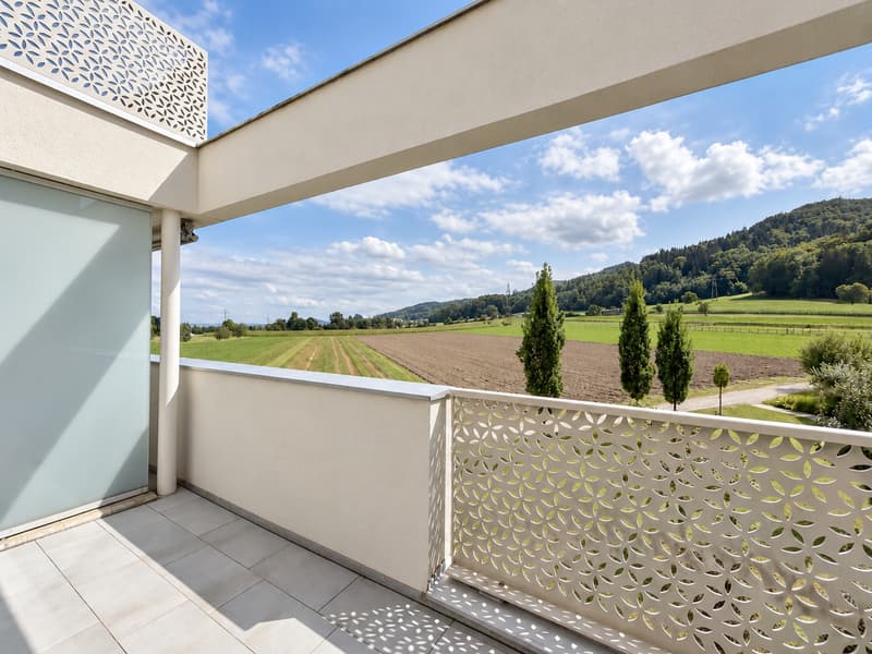 TOP MODERNE 5.5-ZIMMER-WOHNUNG MIT GROSSER TERRASSE UND WEITSICHT (11)