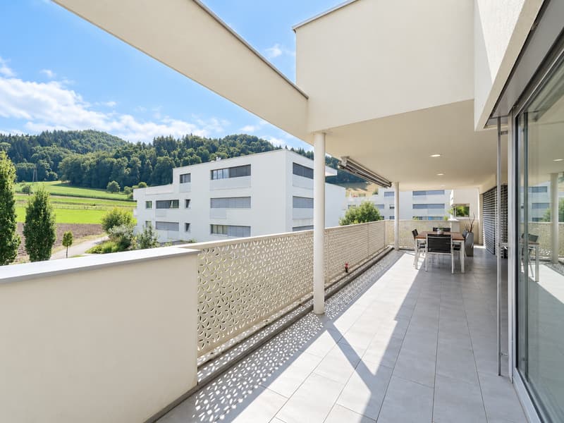 TOP MODERNE 5.5-ZIMMER-WOHNUNG MIT GROSSER TERRASSE UND WEITSICHT (1)