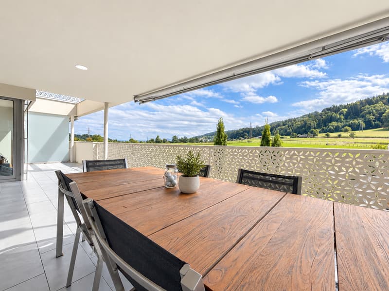 TOP MODERNE 5.5-ZIMMER-WOHNUNG MIT GROSSER TERRASSE UND WEITSICHT (4)