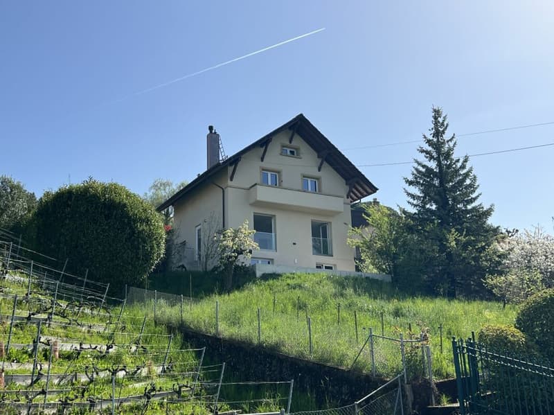 Luogo da sogno tra lago e vigneti, in totale privacy (5)