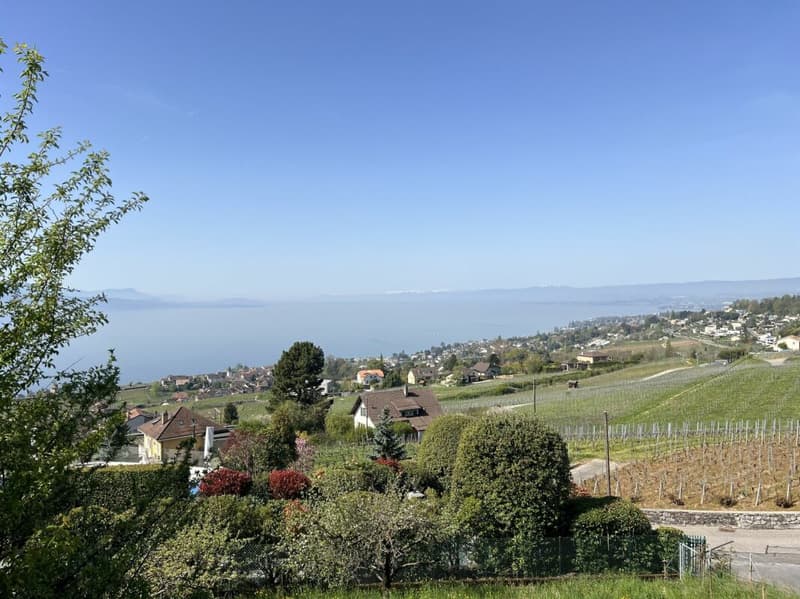 Luogo da sogno tra lago e vigneti, in totale privacy (3)