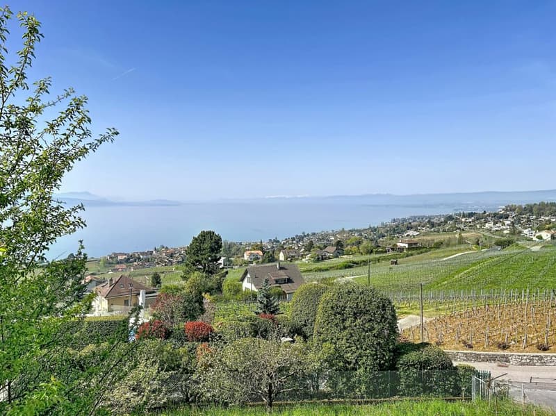 Luogo da sogno tra lago e vigneti, in totale privacy (14)