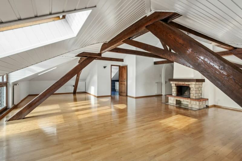 Looking for a spacious apartment just two steps from the city center? (8)