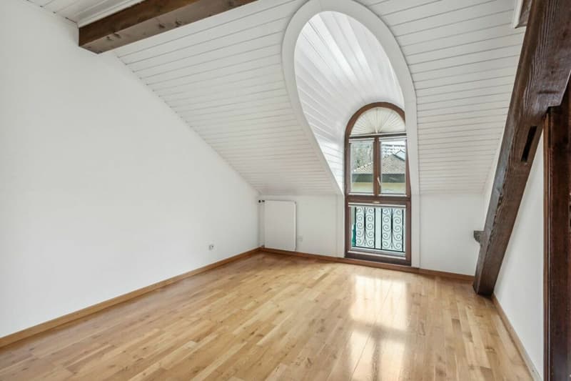 Looking for a spacious apartment just two steps from the city center? (9)