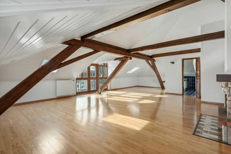 Looking for a spacious apartment just two steps from the city center? (7)