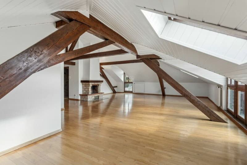 Looking for a spacious apartment just two steps from the city center? (5)