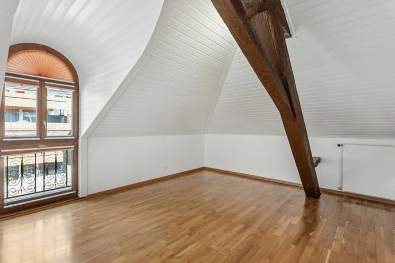 Looking for a spacious apartment just two steps from the city center? (6)