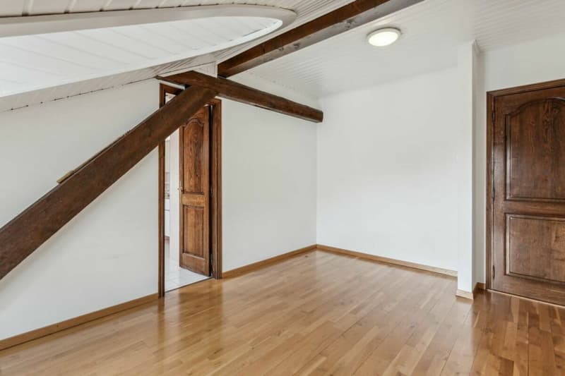 Looking for a spacious apartment just two steps from the city center? (4)