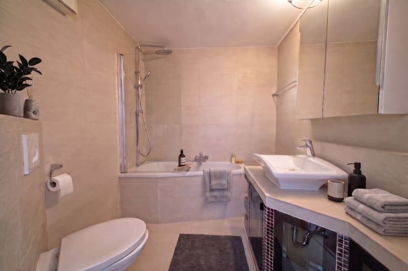 Arrive and feel at home with a view of Lake Zurich (7)
