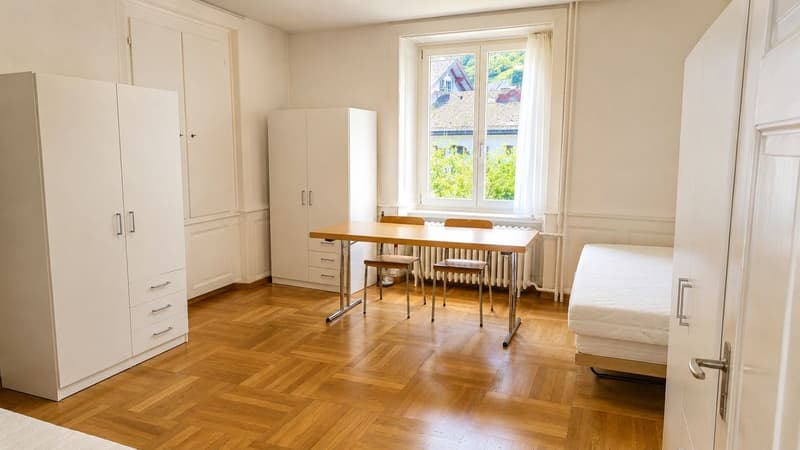 Maison individuelle dépendante avec jardin spacieux à Luchsingen (8)