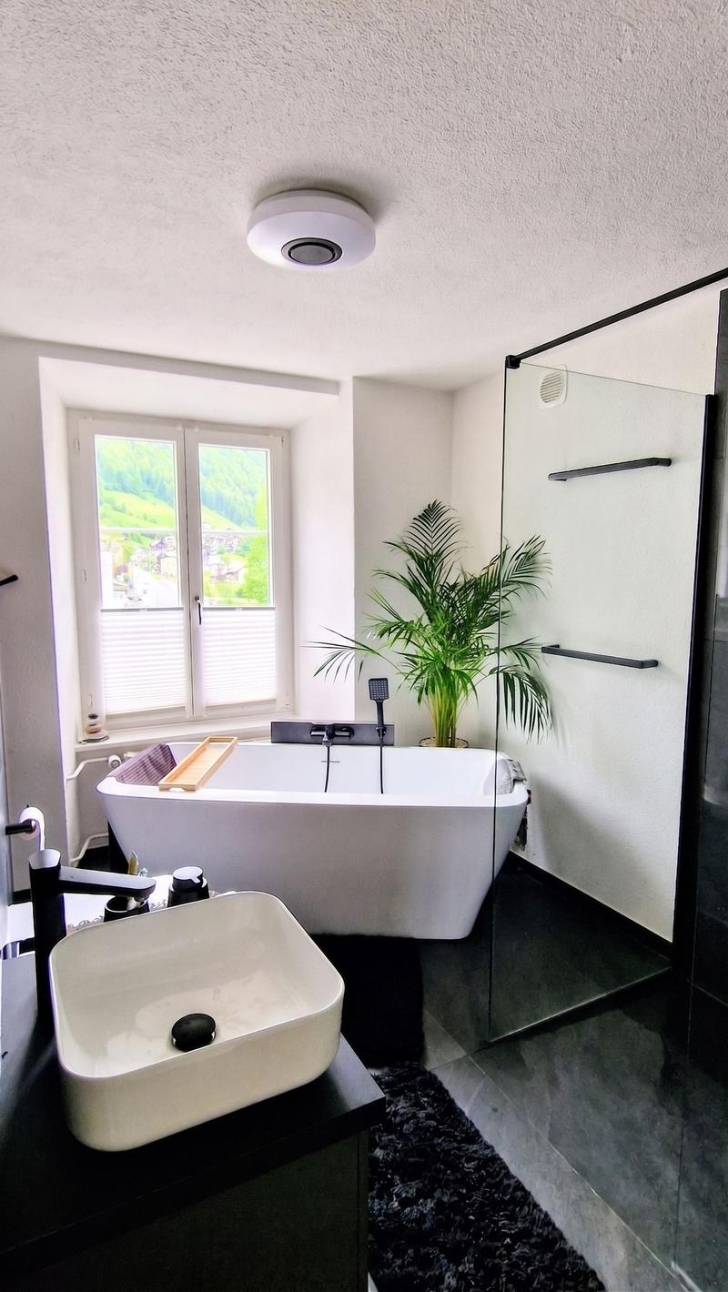 Exclusive 4.5 room apartment with 118m2 living space - completely renovated in Glarus Süd (6)
