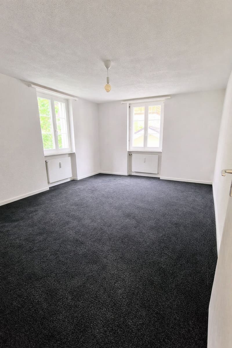 Exclusive 4.5 room apartment with 118m2 living space - completely renovated in Glarus Süd (8)