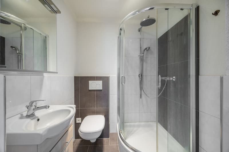 Geräumige 5.5-Zimmer-Wohnung in Familienfreundlicher Lage (11)