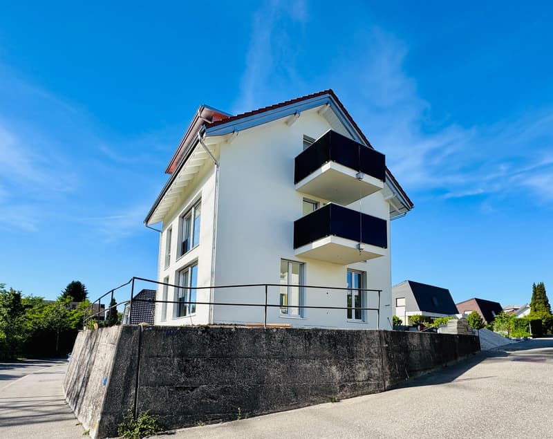 Stilvolle 5.5-Zimmer-Maisonette in Windisch (1)