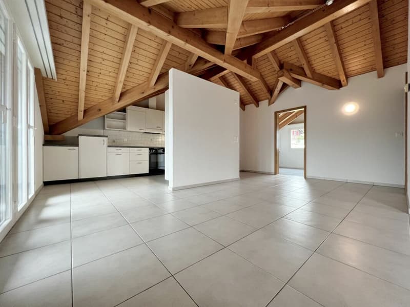 Ampio appartamento in mansarda con molto charme (2)