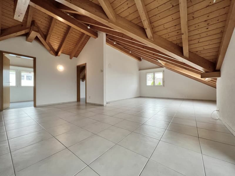 Ampio appartamento in mansarda con molto charme (6)