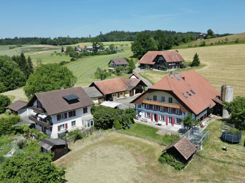 Einzigartiges Bauernhaus-Ensemble an idyllischer Lage mit viel Platz für Ihre Visionen (2)