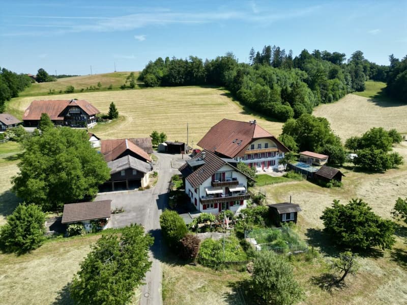 Einzigartiges Bauernhaus-Ensemble an idyllischer Lage mit viel Platz für Ihre Visionen (21)