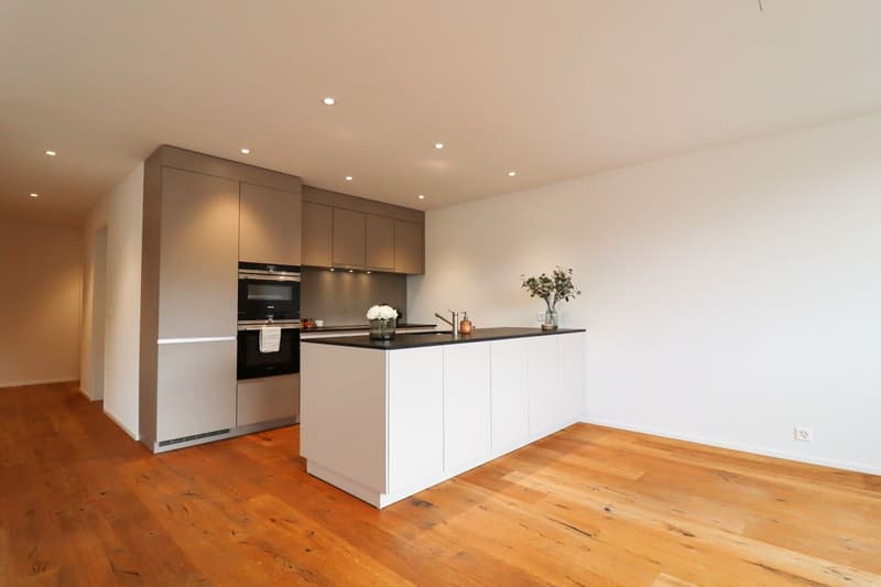 Exclusive 4.5-room apartment with a view & numerous garage spaces (2)