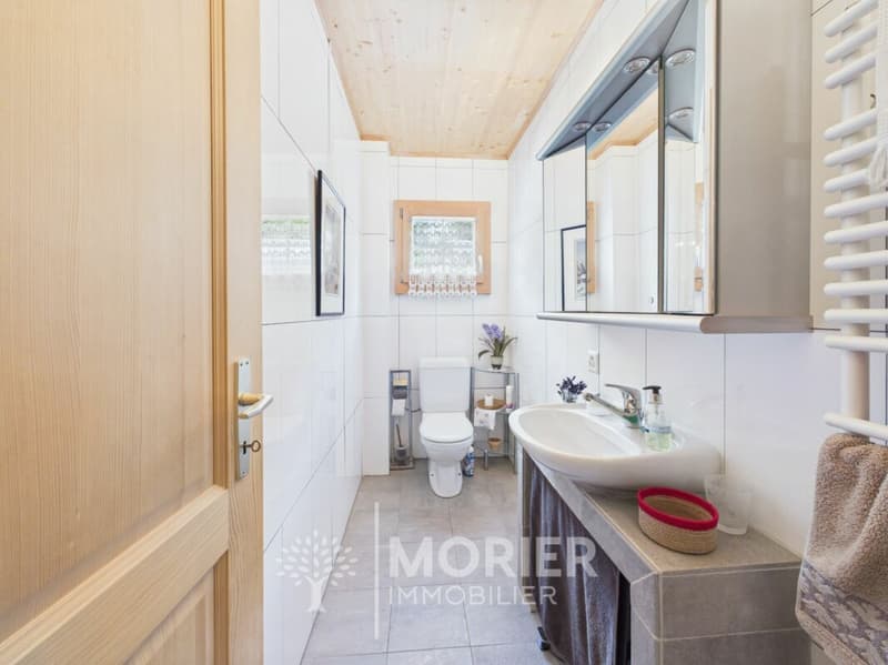 Superbe chalet à Rossinière (21)