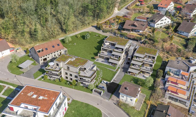 Bezug Juni 2026! Wohnen in den wunderschönen Neubau-Terrassenwohnungen in Grenchen (8)