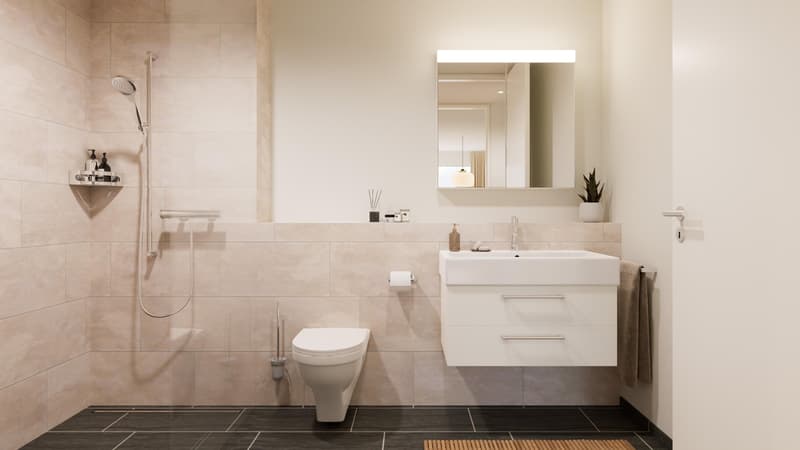 Trasloco giugno 2026! Vivere nelle belle case a terrazza nuove a Grenchen (6)