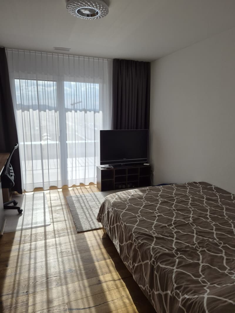 Modern 4.5-room attic apartment with countryside view (8)