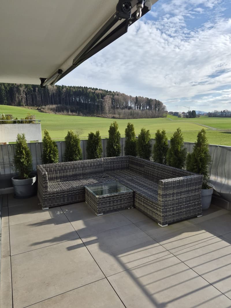 Modern 4.5-room attic apartment with countryside view (12)